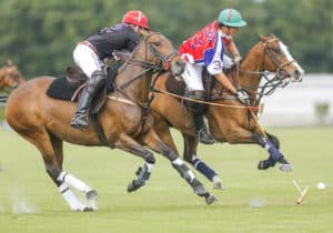 Read more about the article Polo, Picnics, and People Watching