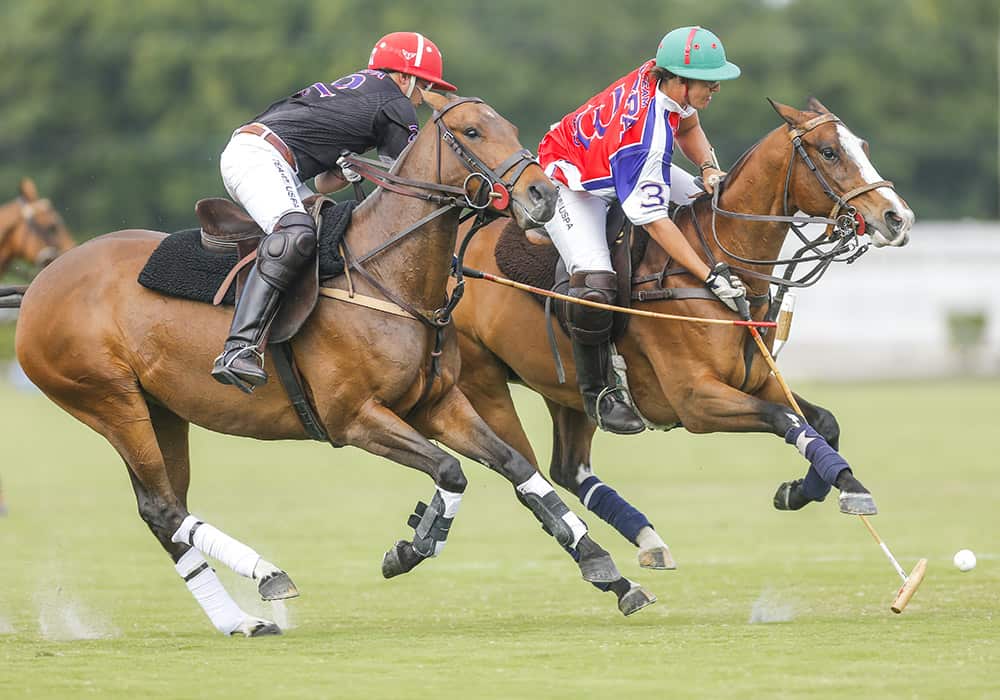 polo-match