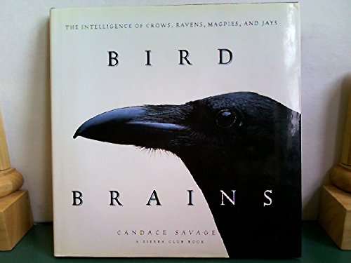 Read more about the article Caw-Caw-Caw-Caw-Coodle-Yah