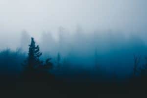 Read more about the article Atmospheric Horror for Chilly Autumn Nights