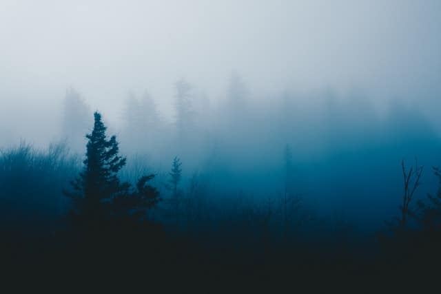foggy-evening-landscape